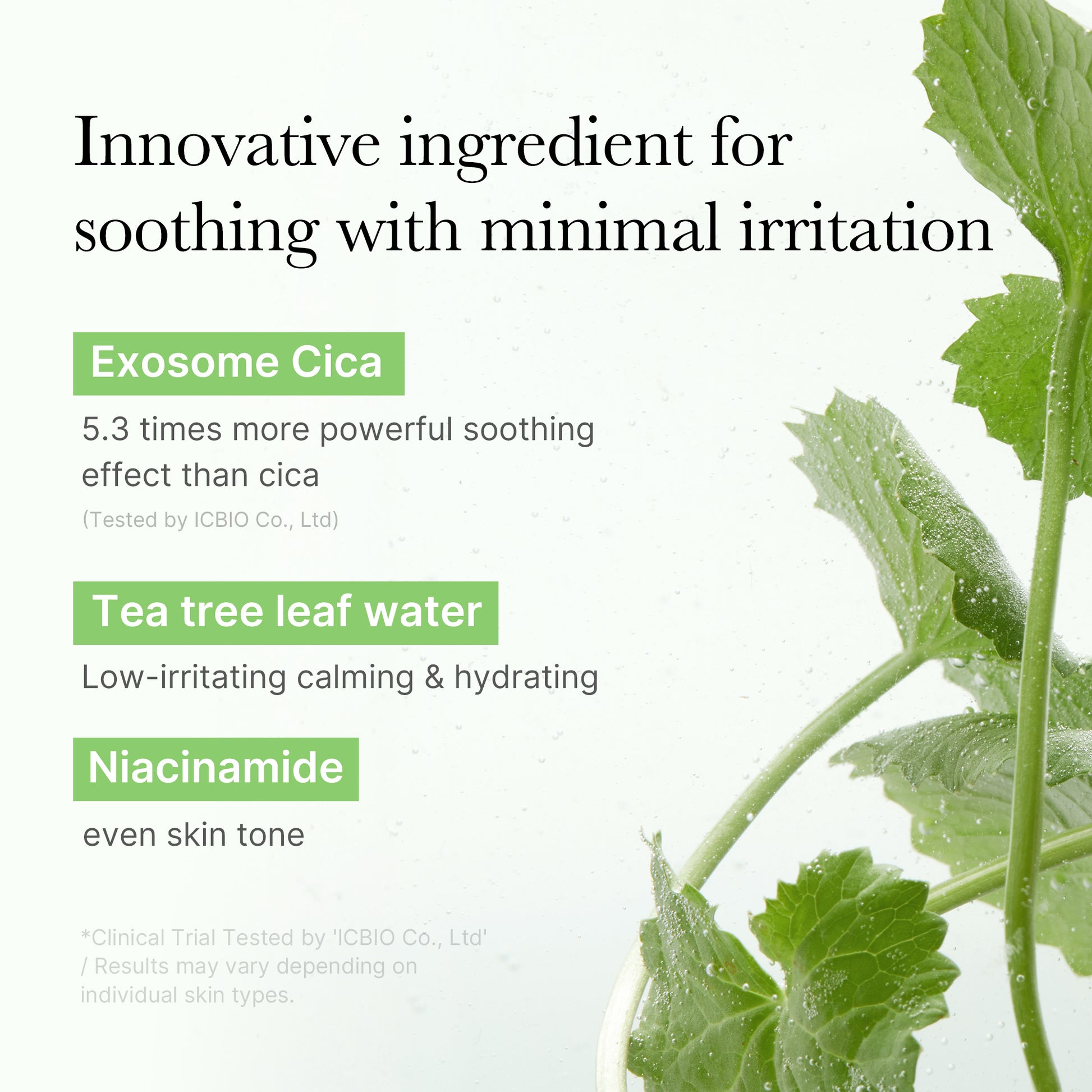 Exosome Cica Calming Toner Pads - Image 3